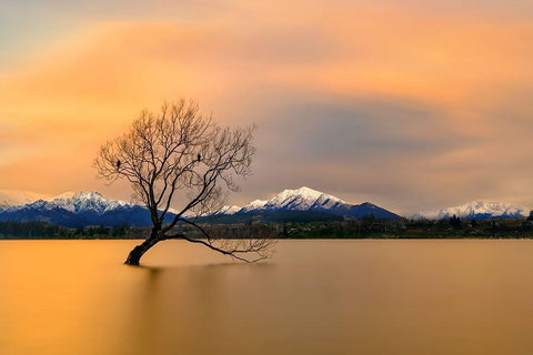 Morning glow of the Lake Wanaka White Modern Wood Framed Art Print with Double Matting by Zhu, Hua