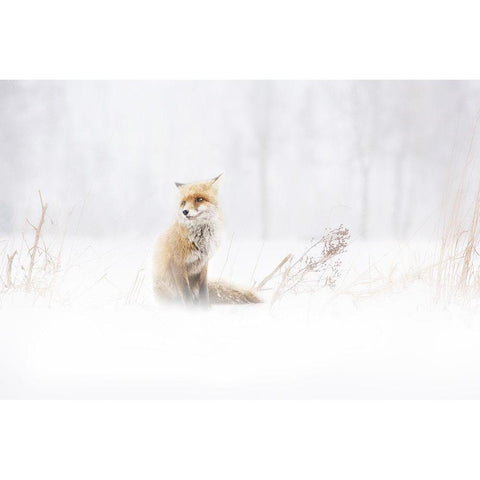 Waiting Black Modern Wood Framed Art Print by Reindl, Doris