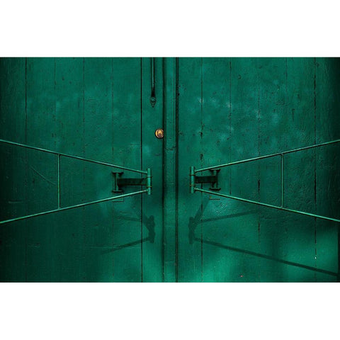 Gate detail Black Modern Wood Framed Art Print by Schuster, Inge