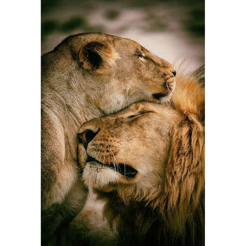 What is love White Modern Wood Framed Art Print by Alnaser, Mohammed