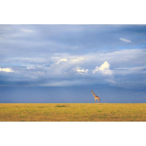 Colors of freedom Black Modern Wood Framed Art Print with Double Matting by Itoyama, Eiji