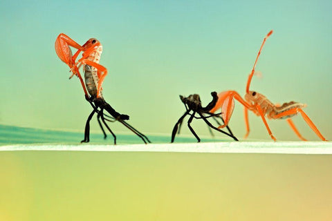 Re BORN White Modern Wood Framed Art Print with Double Matting by Jusa, Donald