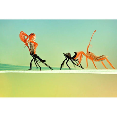 Re BORN Black Modern Wood Framed Art Print by Jusa, Donald