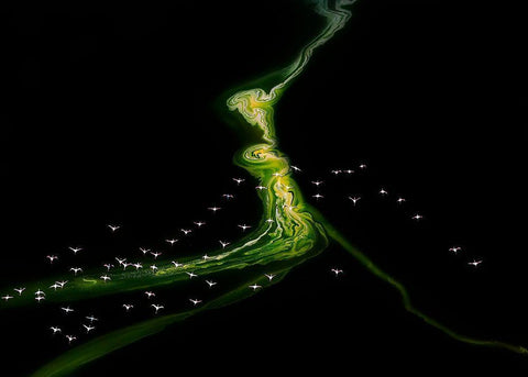 Flying over Incredible pattern White Modern Wood Framed Art Print with Double Matting by J. Chen, John