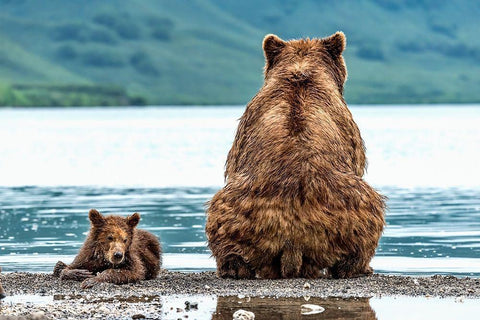 Opposites Black Ornate Wood Framed Art Print with Double Matting by Damico, Giuseppe