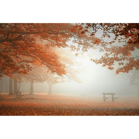 The wonders of nature Black Modern Wood Framed Art Print by Dingemans, Saskia