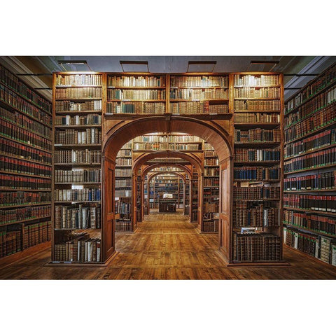 Upper Lausitzian Library of Sciences Gold Ornate Wood Framed Art Print with Double Matting by Aurednik, Patrick