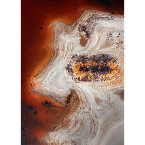 Some Earth 2 Gold Ornate Wood Framed Art Print with Double Matting by Pablo De, Juan