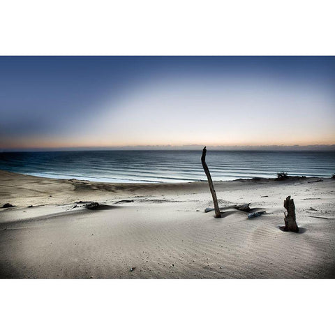 Reach for the sun White Modern Wood Framed Art Print by Brackstone, Mel