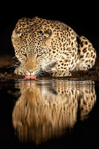 single mother Black Ornate Wood Framed Art Print with Double Matting by Eichelberg, Amnon