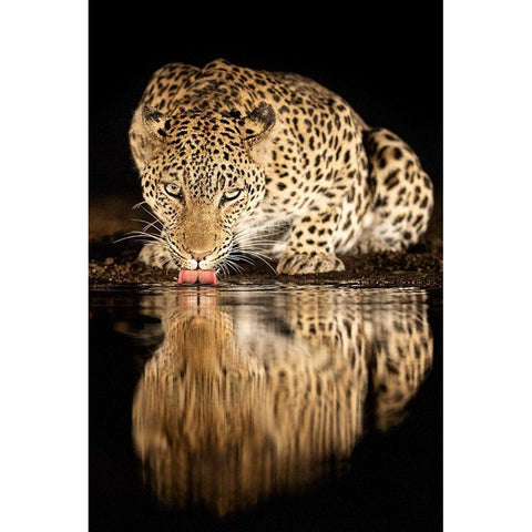 single mother Black Modern Wood Framed Art Print with Double Matting by Eichelberg, Amnon