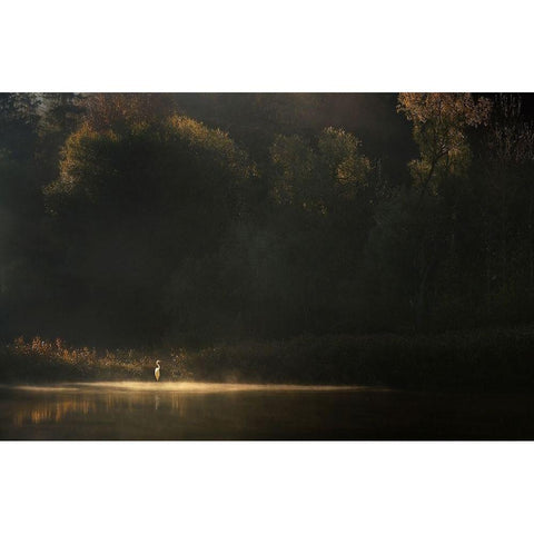 Down by the River Black Modern Wood Framed Art Print with Double Matting by Maier, Norbert