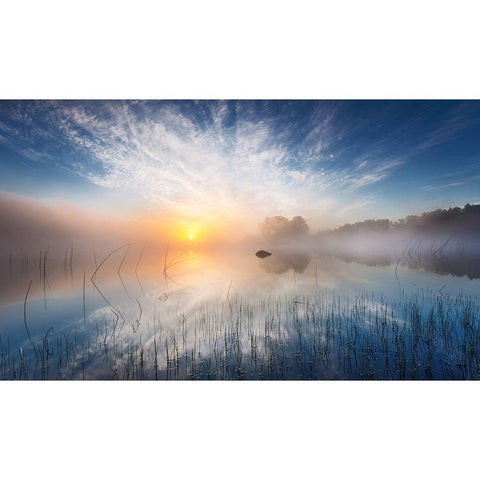 Reflection White Modern Wood Framed Art Print by Lutz, Martin