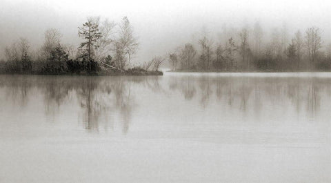 Dissolution Black Ornate Wood Framed Art Print with Double Matting by Spranz, Henrik