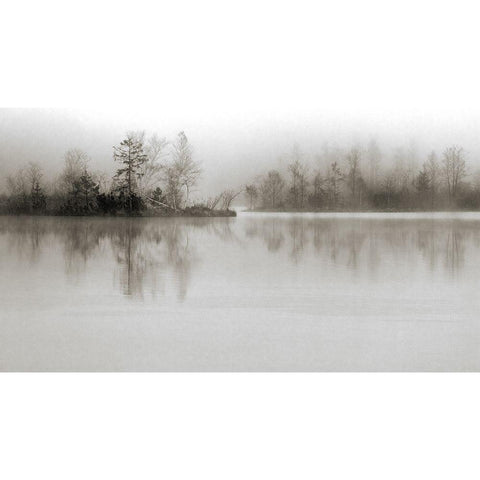 Dissolution Black Modern Wood Framed Art Print by Spranz, Henrik