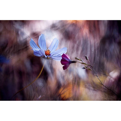 Le rendez vous Gold Ornate Wood Framed Art Print with Double Matting by Bravin, Fabien