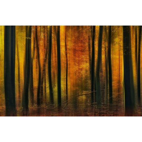 Autumn falls Gold Ornate Wood Framed Art Print with Double Matting by Paul Kraaij, Jan