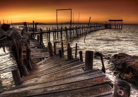 Carrasqueira Black Ornate Wood Framed Art Print with Double Matting by Gomes, Paulo