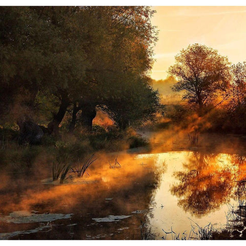 When nature paints with light I Gold Ornate Wood Framed Art Print with Double Matting by Oliver, Leicher