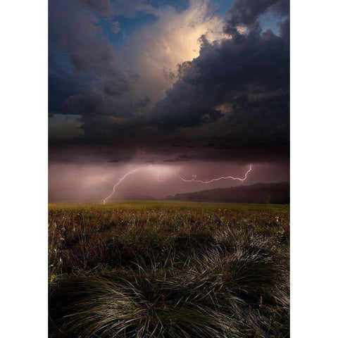 Summer Lights Gold Ornate Wood Framed Art Print with Double Matting by Schumacher, Nicolas