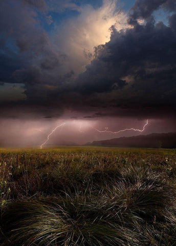 Summer Lights White Modern Wood Framed Art Print with Double Matting by Schumacher, Nicolas