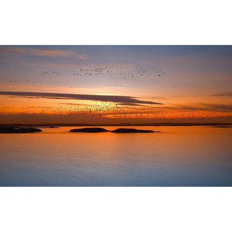 by sunset White Modern Wood Framed Art Print by Krol (Bax), Piotr