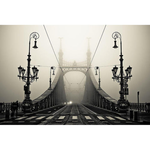 The Bridge White Modern Wood Framed Art Print by Arminmarten