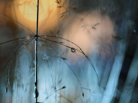 Almost dark White Modern Wood Framed Art Print with Double Matting by Westum, Heidi