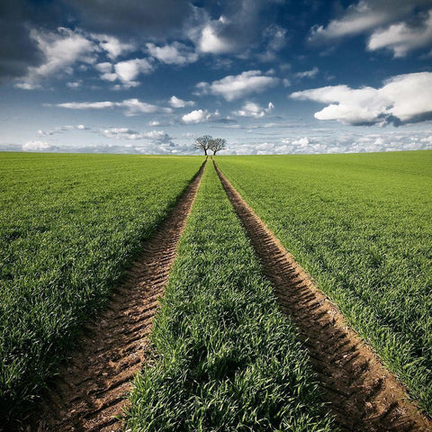 Trace and Trees Black Modern Wood Framed Art Print by Meyerdierks, Carsten