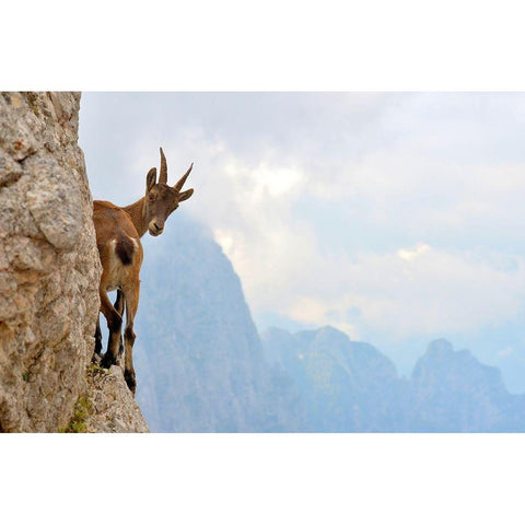 Suspense Black Modern Wood Framed Art Print with Double Matting by Zocca, Stefano