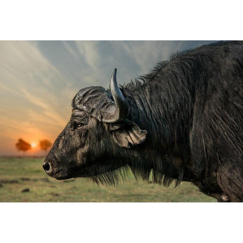 imagine White Modern Wood Framed Art Print by Flour, Piet