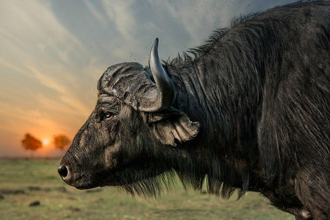 imagine Black Ornate Wood Framed Art Print with Double Matting by Flour, Piet