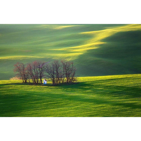 Fields Black Modern Wood Framed Art Print by Browko, Krzysztof