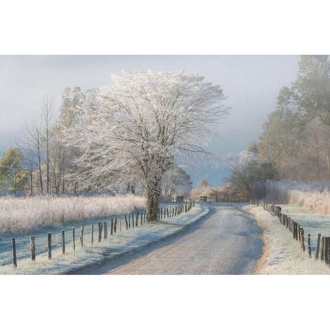 A Frosty Morning Gold Ornate Wood Framed Art Print with Double Matting by Moore, Chris