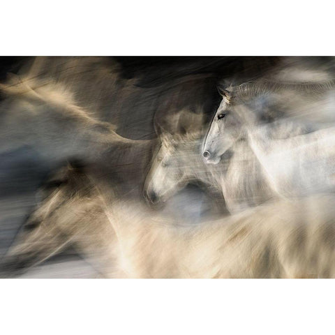 In motion Black Modern Wood Framed Art Print with Double Matting by Malovrh, Milan