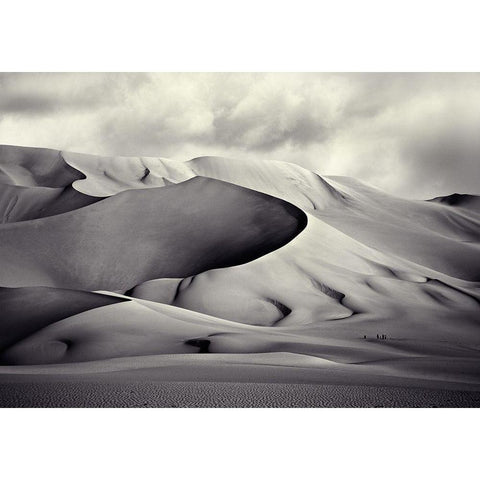 Pinza de Arakao Desierto del TenerA White Modern Wood Framed Art Print by Vilches, Manuel