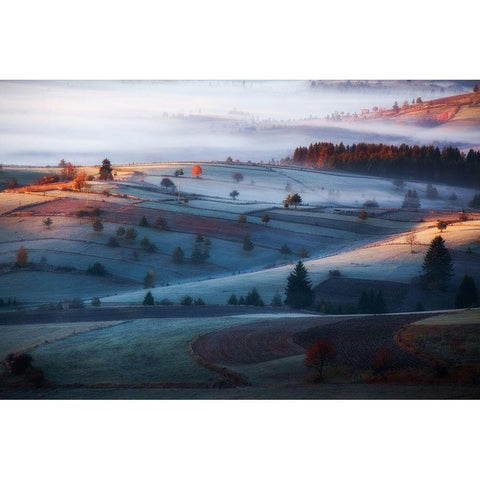 mist Black Modern Wood Framed Art Print by Bajrich, Amir