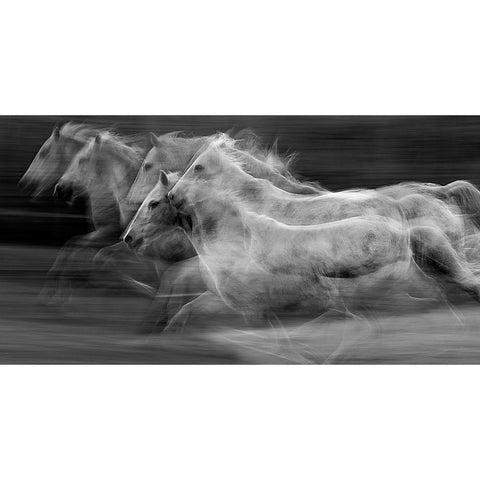 Gallop in the repetition Gold Ornate Wood Framed Art Print with Double Matting by Malovrh, Milan