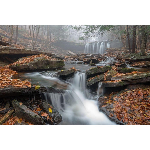 Morning Fog Black Modern Wood Framed Art Print by Kalathas, Nick