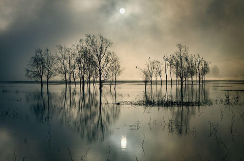 Lakes Secret Black Ornate Wood Framed Art Print with Double Matting by Joanne_Flj