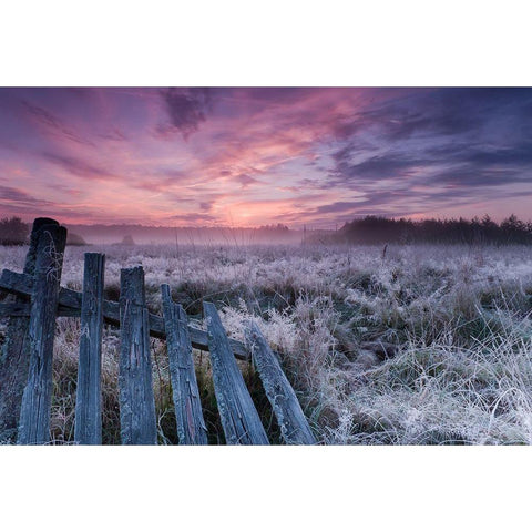 Dawn of Bialowieza Meadows Black Modern Wood Framed Art Print by Lorant, Krzysztof