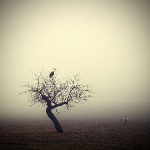 Meeting in the morning Black Modern Wood Framed Art Print with Double Matting by Droste, Holger