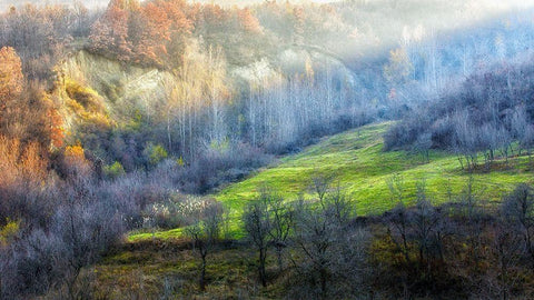 November colors Black Ornate Wood Framed Art Print with Double Matting by Popan, Adrian