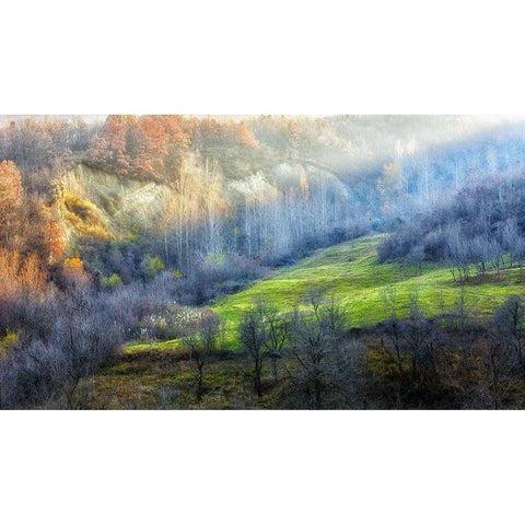 November colors Black Modern Wood Framed Art Print by Popan, Adrian