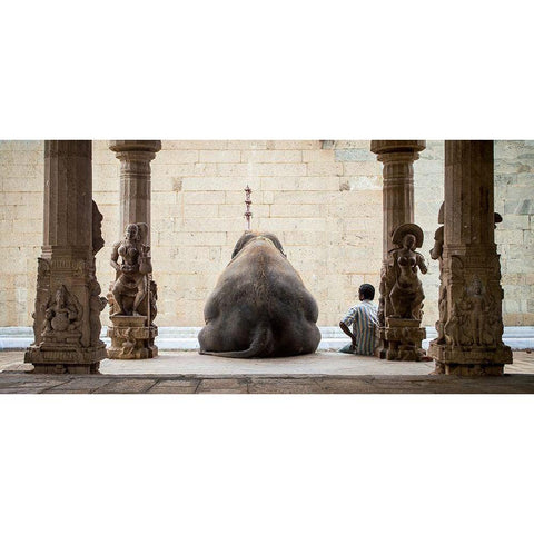 The Elephant and its Mahot Black Modern Wood Framed Art Print with Double Matting by Ruhan