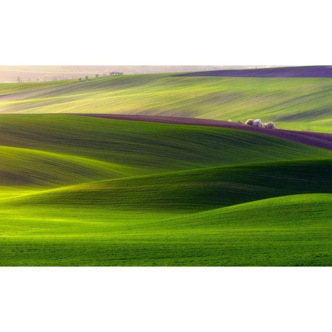 Verdant land Black Modern Wood Framed Art Print by Krol (Bax), Piotr