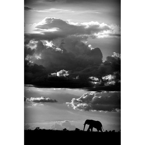 He walks under an African Sky Black Modern Wood Framed Art Print with Double Matting by Wildphotoart