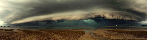 Mother Natures Revenge Black Ornate Wood Framed Art Print with Double Matting by Brackstone, Mel