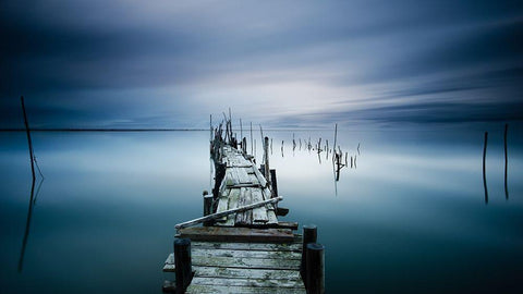 TIMELESS Black Ornate Wood Framed Art Print with Double Matting by Dias, Paulo