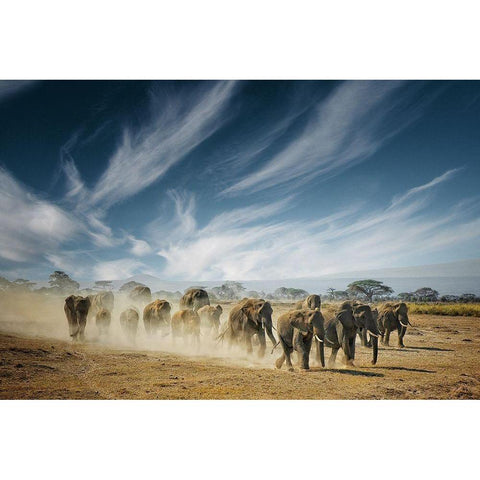 A very long thinking Black Modern Wood Framed Art Print with Double Matting by Guillemot, Mathilde